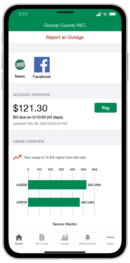SmartHub Phone